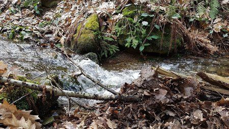 IMG-20170324-WA0005-01.jpeg