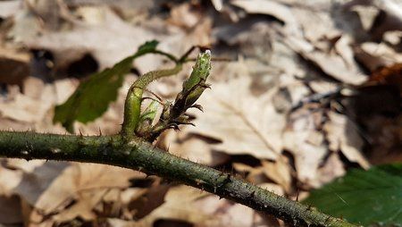 IMG-20170324-WA0006-01.jpeg
