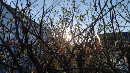 20170324_072808_HDR.jpg