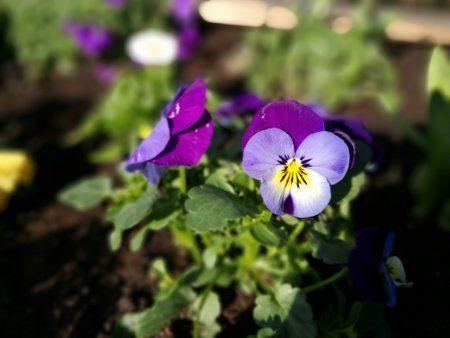 IMG_20170324_152829.jpg