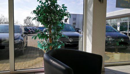 kräftige Farben.jpg
