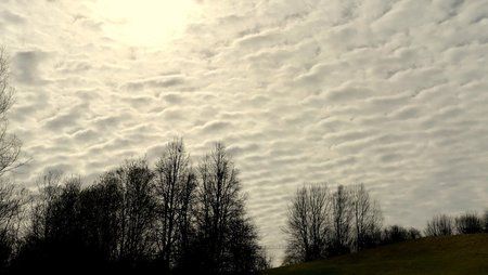 IMG_20170326_111244.jpg