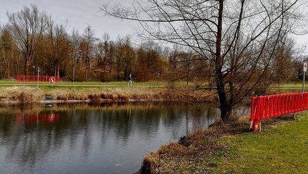 IMG_20170326_111322.jpg