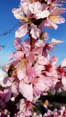 20170325_163026.jpg