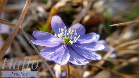 DSC_0055-02.jpeg