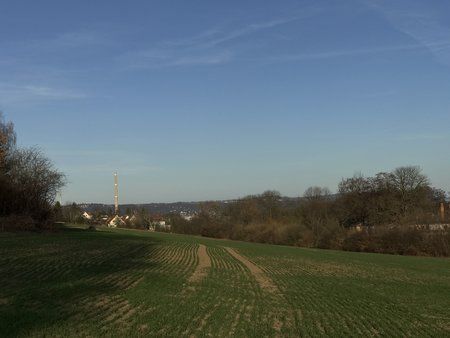 ip7 2x.jpg