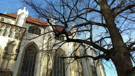 IMG_20170205_154119.jpg