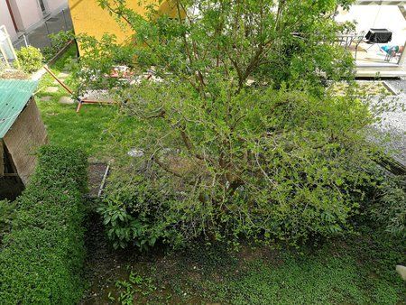 IMG_20170401_163142.jpg