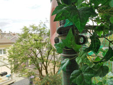 IMG_20170401_163225.jpg