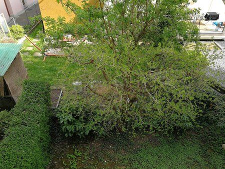 IMG_20170401_163208.jpg