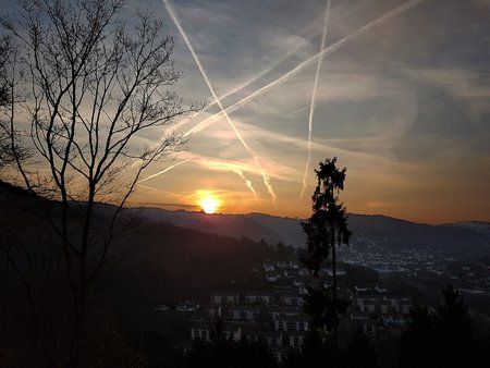 20170401_073647.jpg