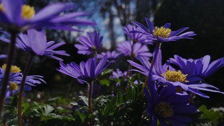 20170402_123745.jpg