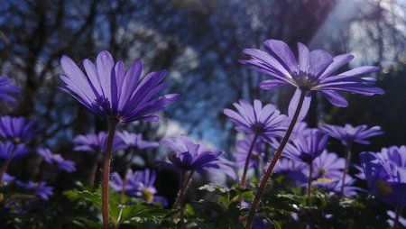 20170402_123624.jpg