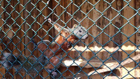 20170402_154730-01.jpeg