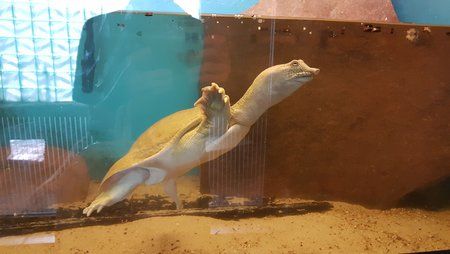 20170402_154501-01.jpeg