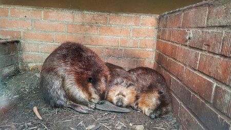 20170402_153257-01.jpeg