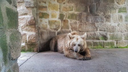 20170402_130037-01.jpeg