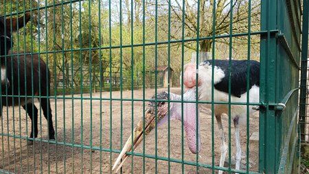 20170402_134203.jpg