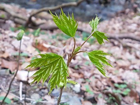 IMG-20170403-WA0009-01.jpeg