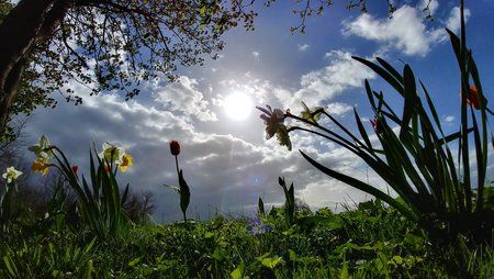 20170405_163147_HDR.jpg