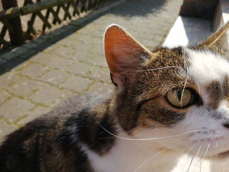 IMG_20170408_111740.jpg