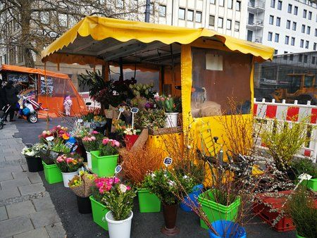 IMG_20170407_160445.jpg