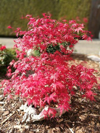 2016-05-04 16.59.47.jpg