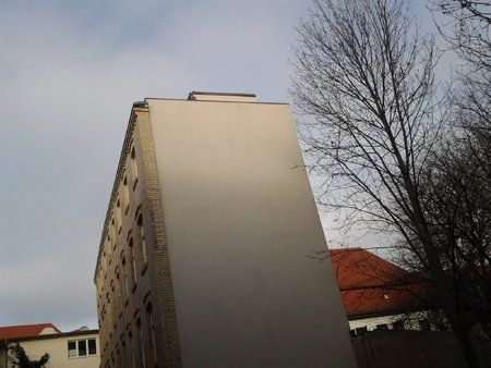 back-cam (2).jpg