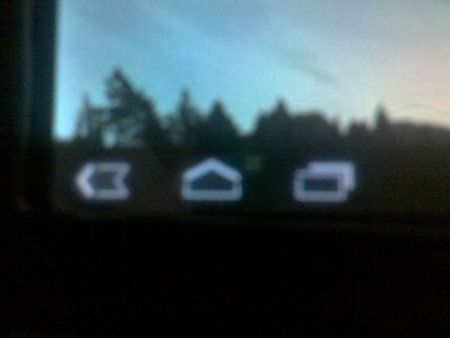 IMG_20111228_161430.jpg