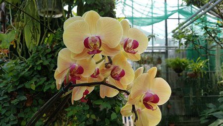 20170409_150950.jpg