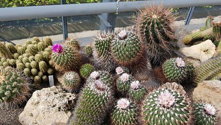 20170409_150140.jpg