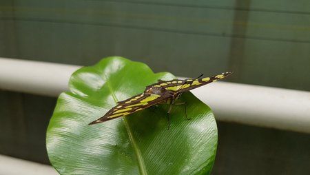 20170409_145306.jpg