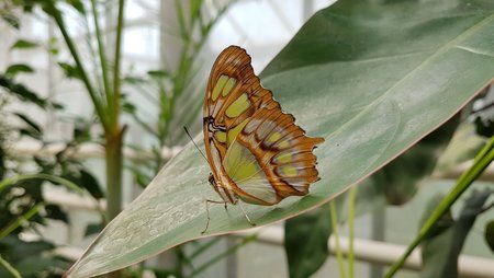 20170409_145004.jpg