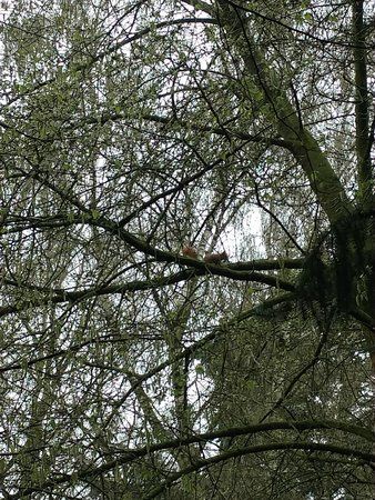 IMG_20170402_102739002.jpg