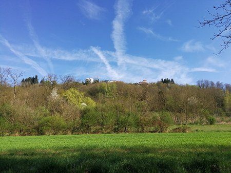 IMG_20170410_095959.jpg