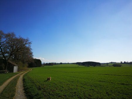 IMG_20170409_164801.jpg
