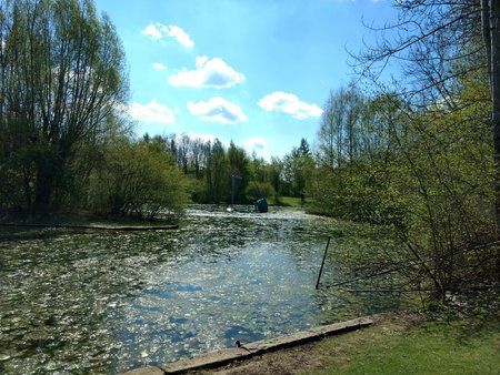IMG_20170410_120447146_HDR.jpg