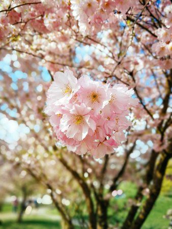 2017-04-02 14.46.25.jpg