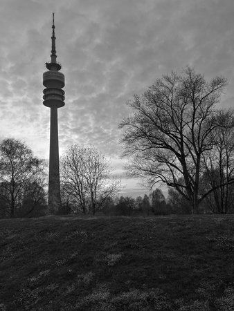 2017-04-07 19.56.45.jpg