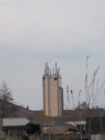 IMG_20170412_193742.jpg