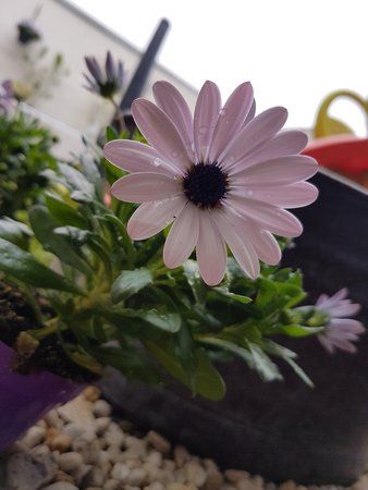20170413_094357.jpg