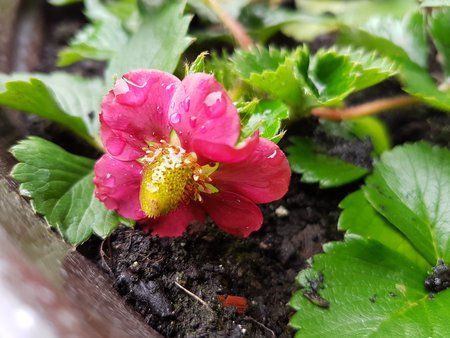 20170413_094428.jpg