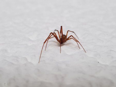 20170412_092209.jpg