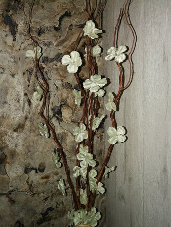2017-04-13 17.49.31.jpg