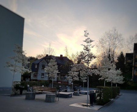 IMG-20170416-WA0009-02.jpeg