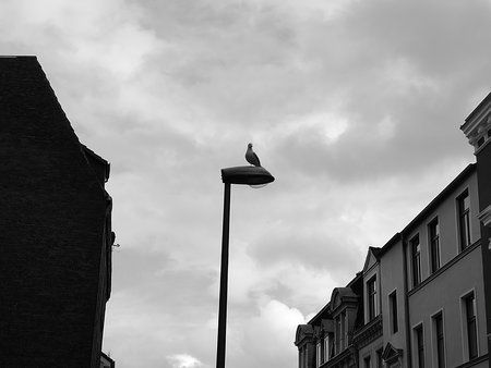 IMG_20170416_161524.jpg