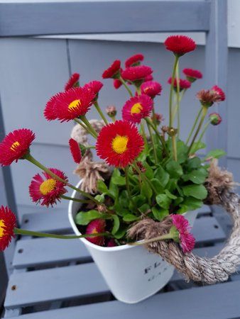 20170418_203626.jpg
