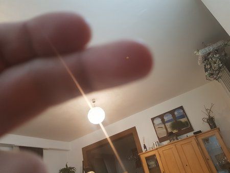 20170419_000802.jpg