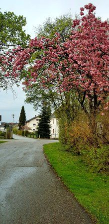 20170418_192814.jpg