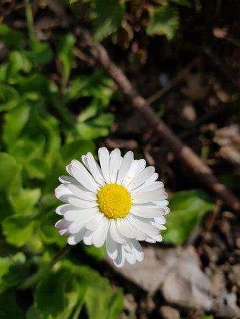 20170419_144435.jpg